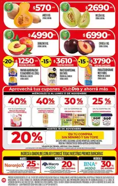 Vista previa del folleto de la tienda Dia válido desde el 12/11/2025 | Página: 4