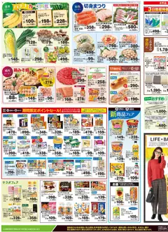 ライフの2025/10/29から2025/10/31までのチラシはここチラシ | Strana: 3