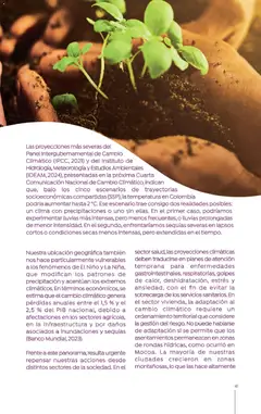  Vista previa del prospecto Catálogo Colsubsidio del almacen Colsubsidio válida del 01/10/2025 al 30/11/2025 | Página : 41