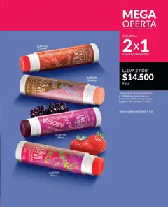  Vista previa del prospecto Catálogo Campaña C17/2025 del almacen Avon válida del 01/12/2025 al | Página: 170