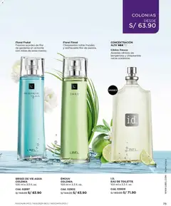 Vista previa de Campaña 1 de la tienda L'Bel válido desde 18/12/2025 | Página: 75