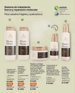 Folleto de la tienda Natura válido desde el 09.07.2025 | Página: 125