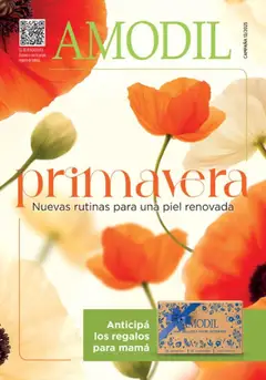 Vista previa del folleto de la tienda Amodil válido desde el 18/07/2025 