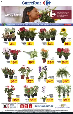 Pré-Visualização do folheto "Ofertas Especial Jardinagem" da loja Carrefour Bairro válido a partir de 19/09/2025