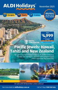 Preview of catalogue NEW Holidays from shop Aldi valid 01/11/2025