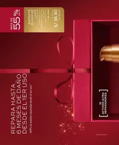 Vista previa de Campaña 18 de la tienda L'Bel válido desde 14/11/2025 | Página : 104