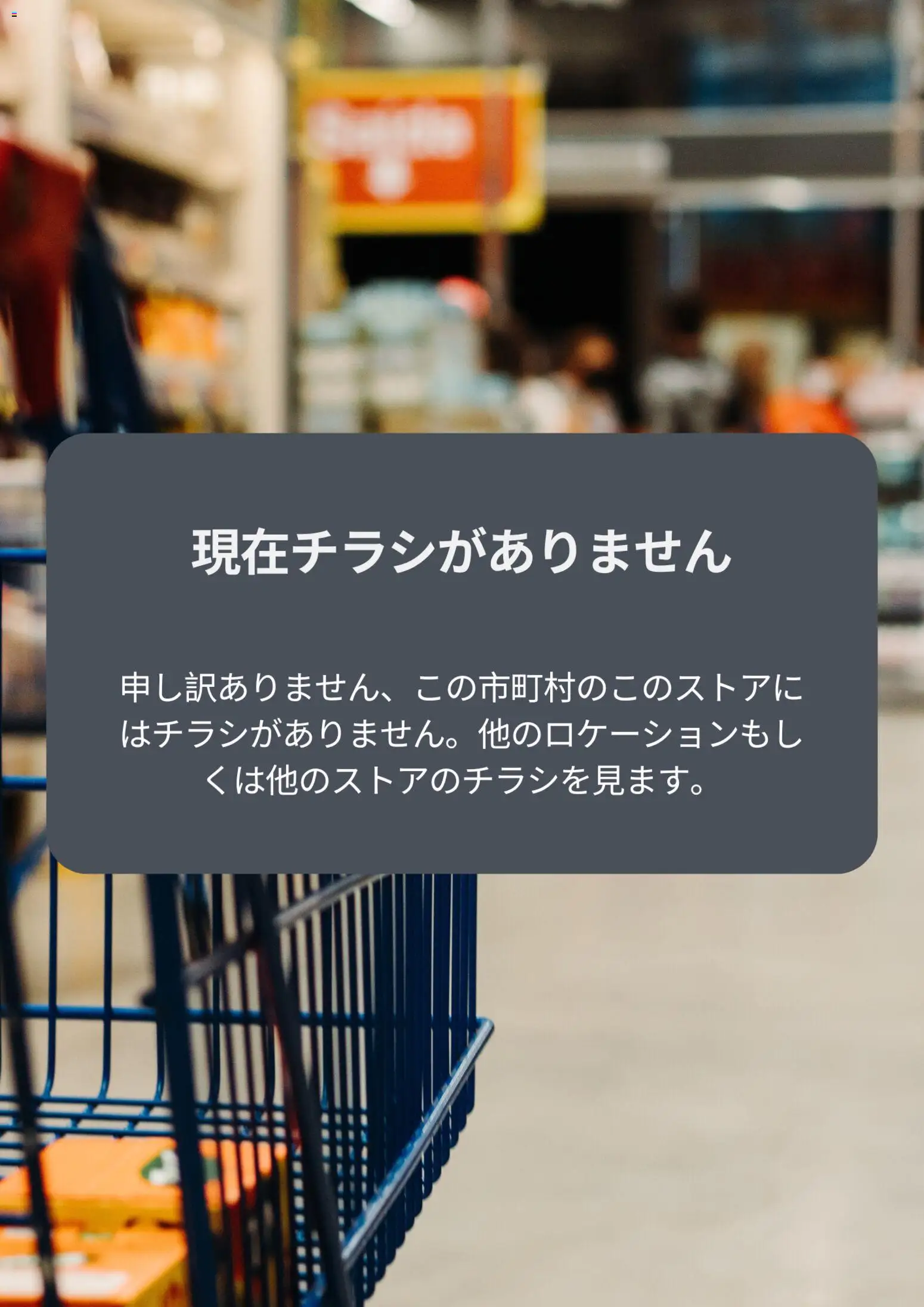アベイルの2025/12/11から2026/10/14までのチラシはここチラシ
