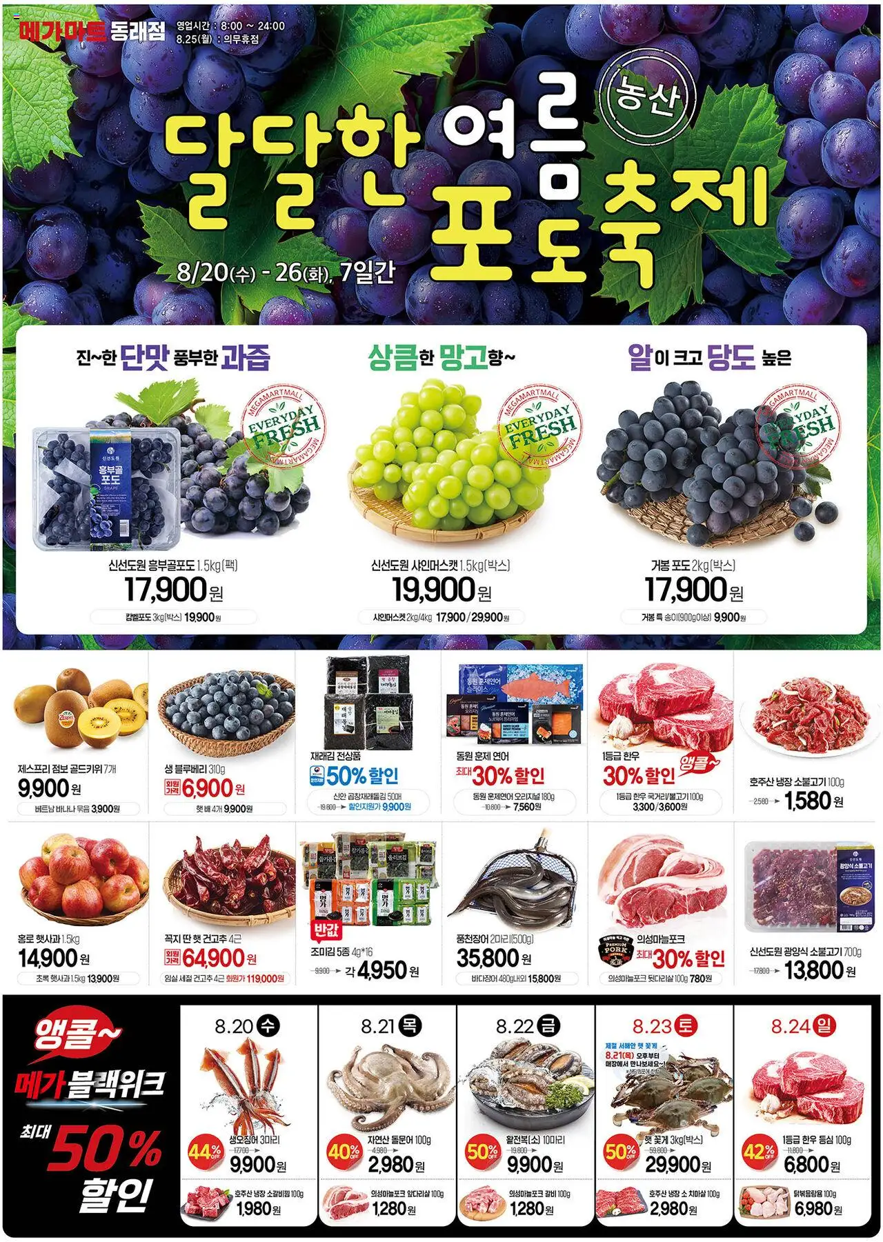메가마트 플레이어 (2025/08/20) - 새로운 제안 2025/08/20부터 유효 - 페이지 번호 1