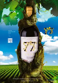 Vista previa las ofertas de la tienda Bodegas Alianza - Catálogo Cava Morada desde el 01/10/2025 | Página: 27