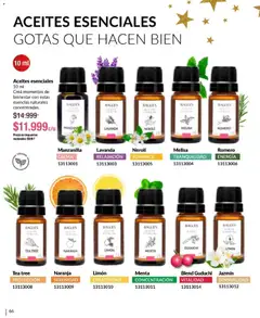 Vista previa del folleto de la tienda Bagués válido desde el 17/11/2025 | Página: 66