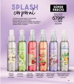 Vista previa del folleto de la tienda Millanel válido desde el 10/11/2025 | Página: 177