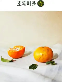 {StrartDate}까지 초록마을 쇼핑몰에서 전단 현재 전단지 미리 보기