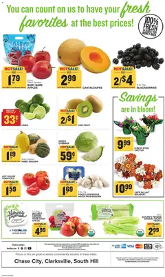 Ad Preview of Food Lion Weekly Ad from 10/29/2025 | Page: 11