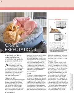 Preview of catalogue Bunnings Catalogue October from shop Bunnings Warehouse valid 01/10/2025 | Page: 80