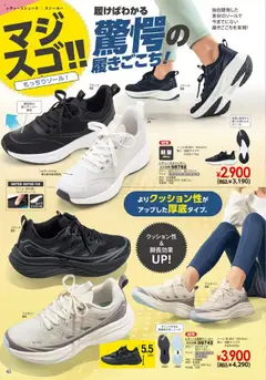 ヒラキの2025/10/01から2026/02/28までのチラシはここExciting Price 3712 | Strana: 46