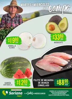 Vista previa las ofertas de la tienda Soriana - Soriana Martes y Miércoles del Campo Súper: BCS, Son y Sin desde el 10/03/2026 
