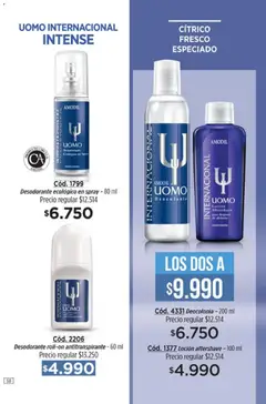 Vista previa del folleto de la tienda Amodil válido desde el 30/11/2025 | Página: 58