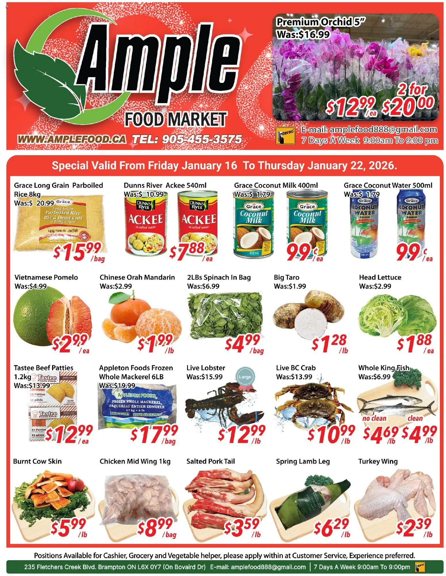 Preview of leaflet Weekly flyer / circulaire from shop Ample Food Market is valid from Jan 16, 2026
