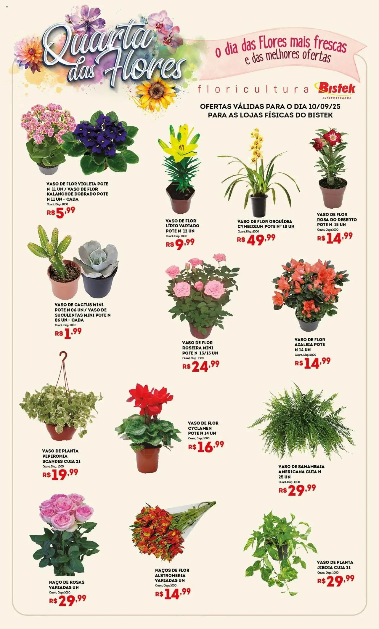 Bistek Supermercados folheto "Ofertas Quarta das Flores" válido a partir de 10/09/2025 - número de página 1 - Flores, Orquídea, Vaso