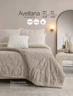 Vista previa las ofertas de la tienda Vianney - Catálogo Invierno desde el 15/08/2025 | Página: 13