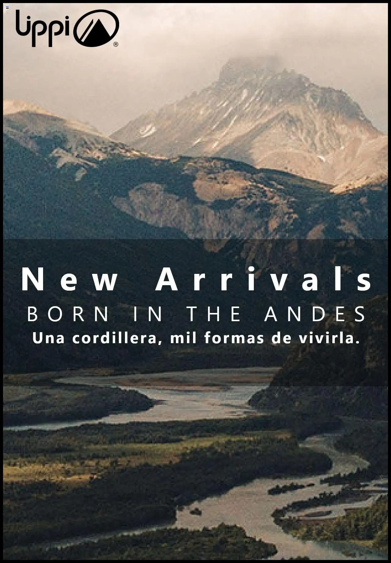 Folleto de la tienda Lippi válido desde el 20.10.2025 