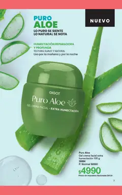 Vista previa del folleto de la tienda Gigot válido desde el 01/01/2026 | Página: 13