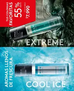 Folleto de la tienda Ésika válido desde el 01.12.2025 | Página: 108