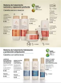 Vista previa de Ciclo 16 de la tienda Natura válido desde 12/10/2025 | Página : 134