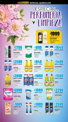 Vista previa del folleto de la tienda Diarco válido desde el 10/11/2025 | Página: 18