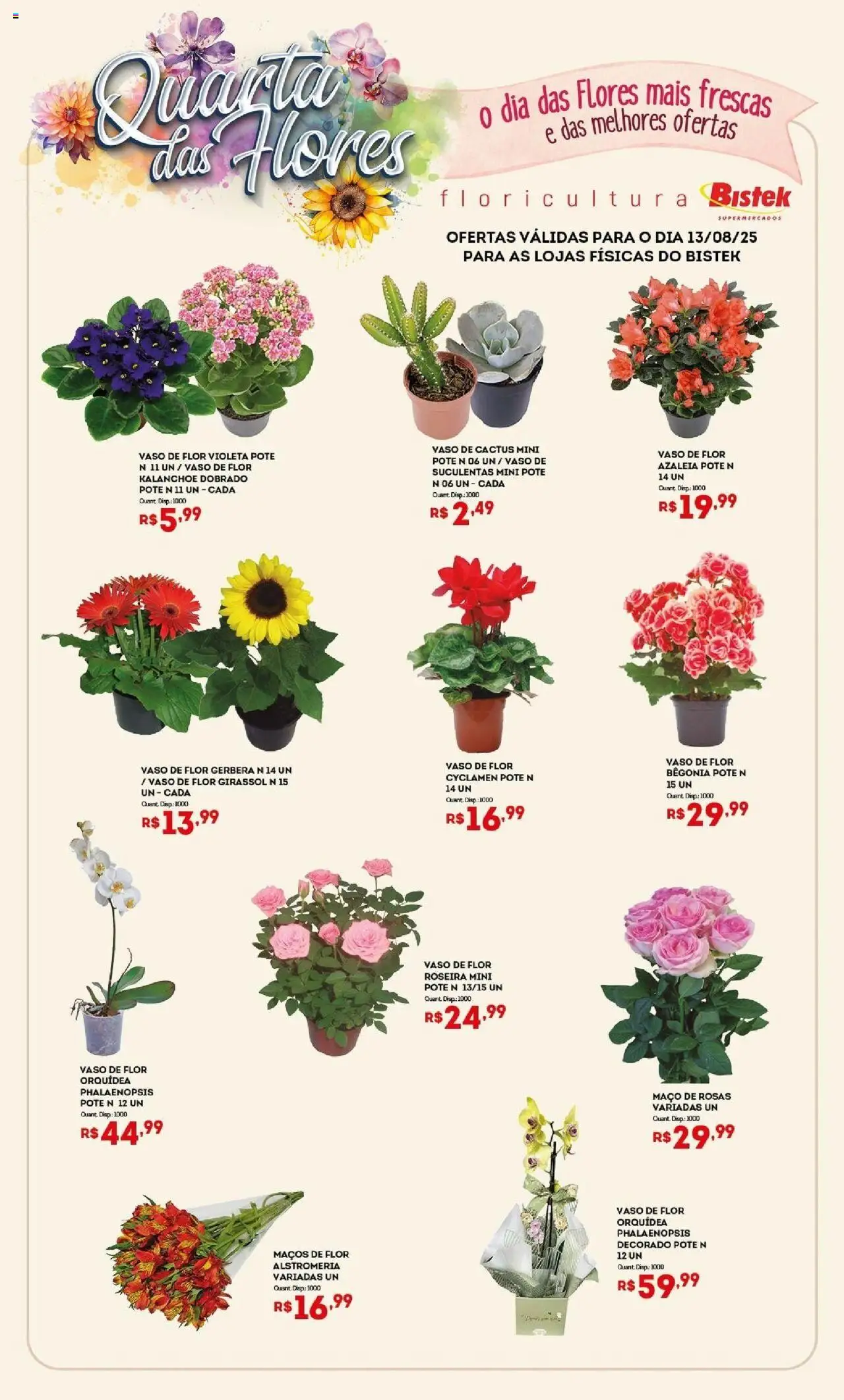 Bistek Supermercados folheto "Ofertas Quarta das Flores" válido a partir de 13/08/2025 - número de página 1 - Flores, Orquídea, Vaso, Gerbera