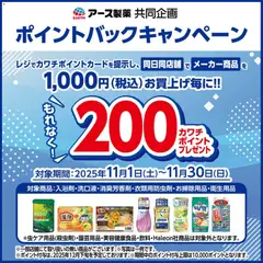 カワチの2025/11/01から2025/11/30までのチラシはここ必ずもらえる！ 200カワチポイント
