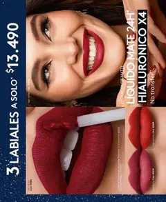 Folleto de la tienda Ésika válido desde el 14.10.2025 | Página: 44