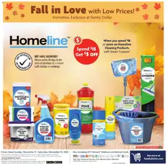 Ad Preview of Family Dollar Weekly Ad from 11/09/2025 | Page: 10