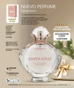 Vista previa del folleto de la tienda Millanel válido desde el 08/12/2025 | Página: 15