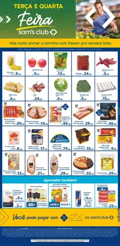 Pré-Visualização do folheto "Ofertas Feira" da loja Sam's Club válido a partir de 09/09/2025
