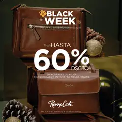 Vista previa de Black Friday de la tienda Renzo Costa válido desde 24/11/2025