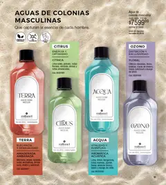 Vista previa del folleto de la tienda Millanel válido desde el 10/11/2025 | Página: 63