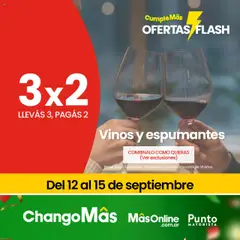Vista previa del folleto de la tienda Punto Mayorista válido desde el 11/09/2025 