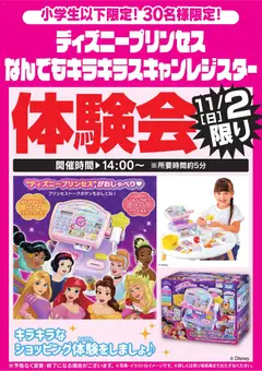 ヤマダ 電機の2025/11/01から2025/11/03までのチラシはここディズニープリンセス なんでもキラキラスキャンレジスター体験会 11/2限り
