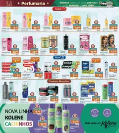 Pré-Visualização do folheto "Ofertas da semana" da loja Supermercados Condor válido a partir de 08/12/2025 | Página: 22