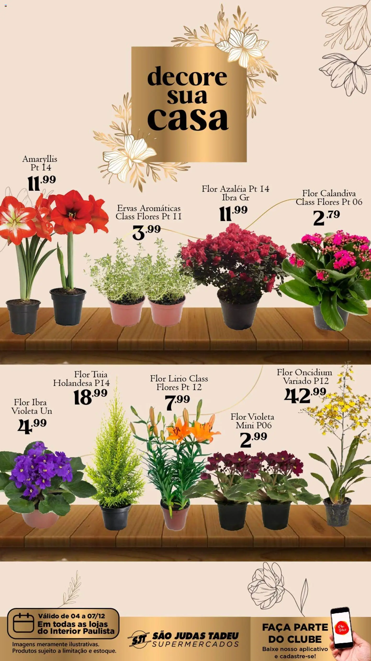 Pré-Visualização do folheto "Ofertas Flores" da loja São Judas Tadeu válido a partir de 04/12/2025 - Flores, Ervas aromáticas, Faca