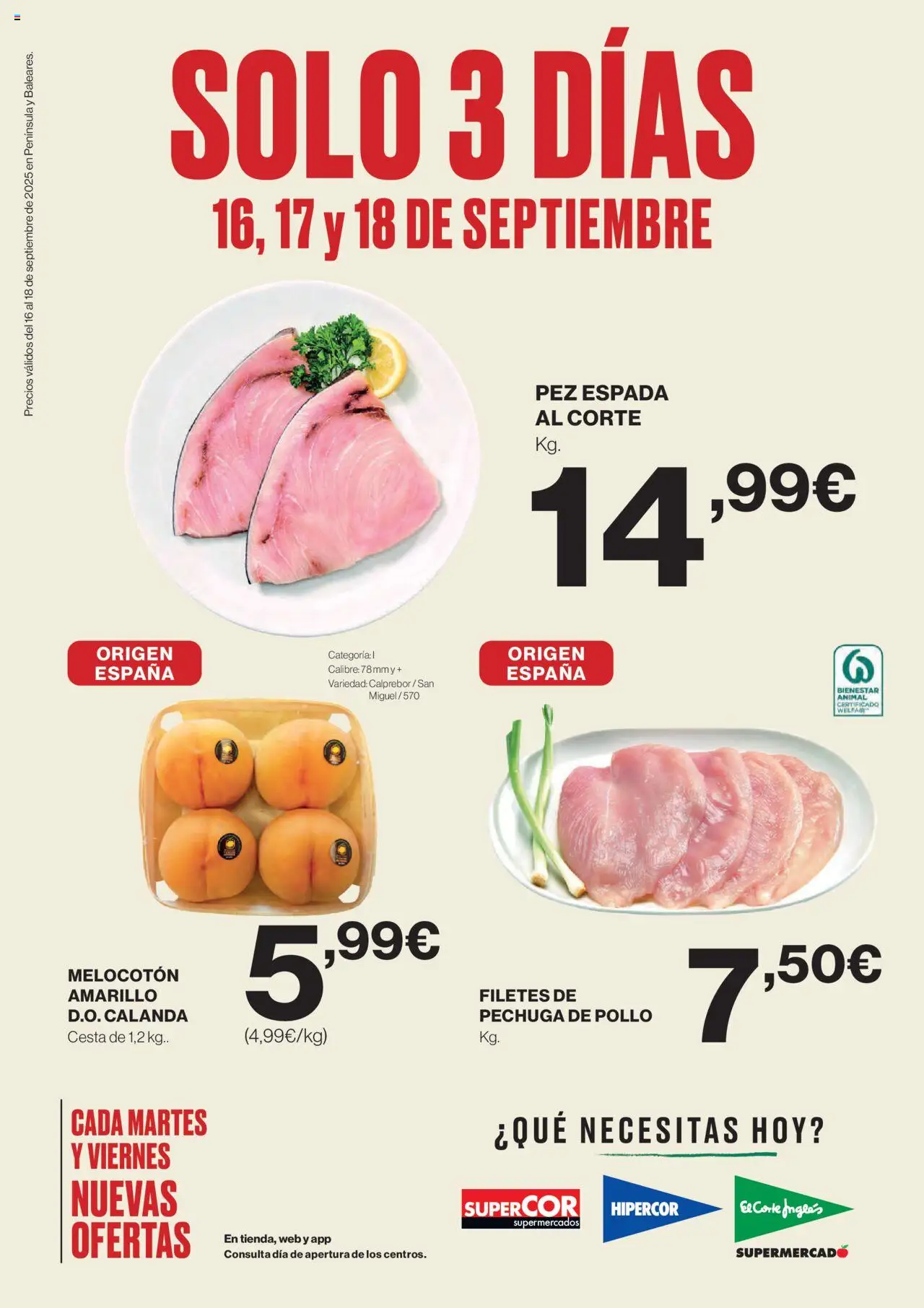 Catálogo El Corte Inglés y sus promociones válidas desde el 16/09/2025 - Número de página 1