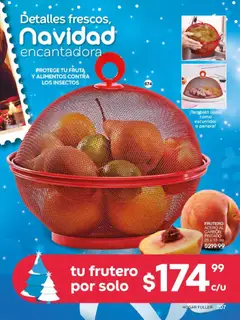 Vista previa las ofertas de la tienda Fuller - Campaña 16 2025 desde el 12/11/2025 | Página: 209