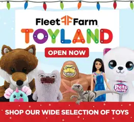 Ad Preview of Mills Fleet Farm Weekly Ad from 12/11/2025 | Page: 5