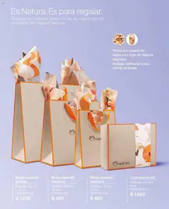 Folleto de la tienda Natura válido desde el 12.07.2025 | Página: 14