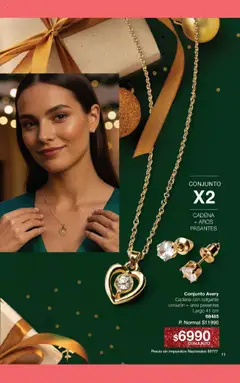 Vista previa del folleto de la tienda Gigot válido desde el 01/11/2025 | Página: 17