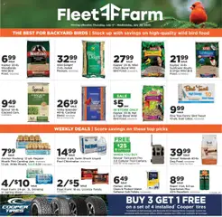 Ad Preview of Mills Fleet Farm Weekly Ad from 07/17/2025