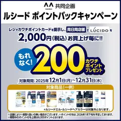 カワチの2025/12/01から2025/12/31までのチラシはここ必ずもらえる！ 200カワチポイント