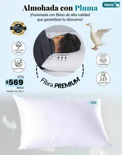 Vista previa las ofertas de la tienda Colchas Concord - Buen Fin desde el 01/11/2025 | Página: 209