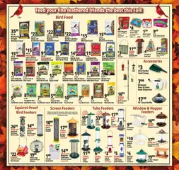 Ad Preview of Ocean State Job Lot Weekly Ad from 10/23/2025 | Page: 19